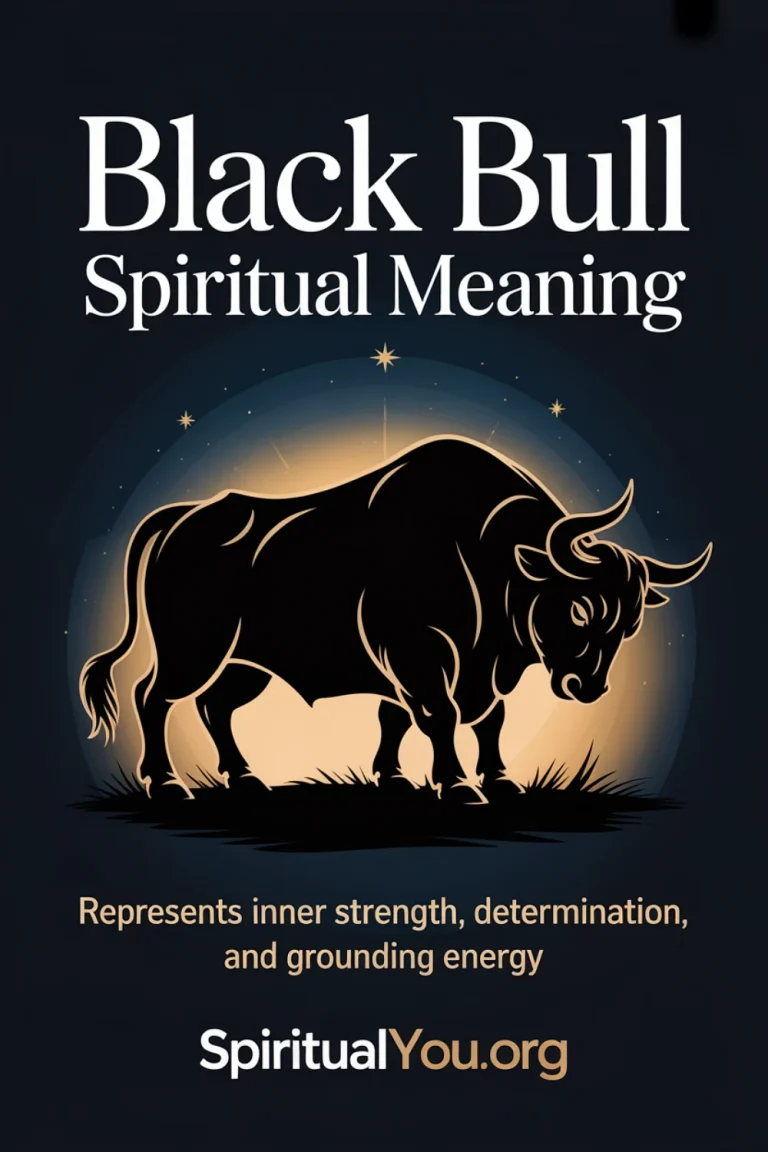 Powerful black bull silhouette against midnight blue starlit sky representing spiritual meaning of inner strength, determination, and grounding energy. Black Bull Spiritual Meaning text overlay with spiritualyou.org branding explains sacred symbolism and protective spiritual forces.