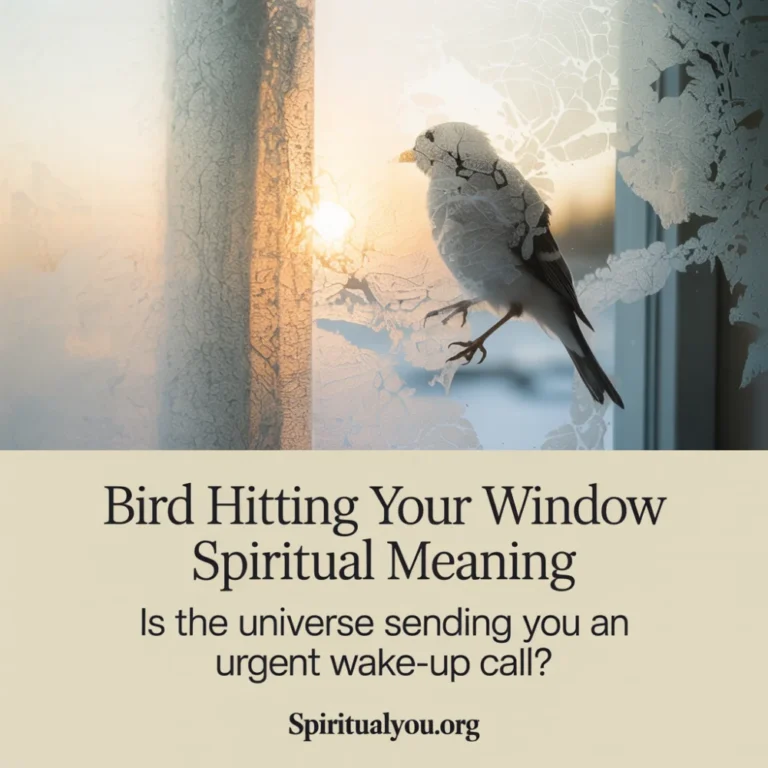 Nature-inspired design featuring window with translucent frosted glass showing bird silhouette against soft morning light, watercolor aesthetic in sage green, warm cream, dusty blue and gentle gray tones with golden light accents, prominent title "Spiritual Meaning of Bird Hit Window" in elegant serif-sans font combination centered with contemplative question about universe wake-up calls, semi-transparent cream overlay behind text for clarity, spiritualyou.org branding included, optimized for spiritual seekers exploring bird window collision symbolism and divine messages.