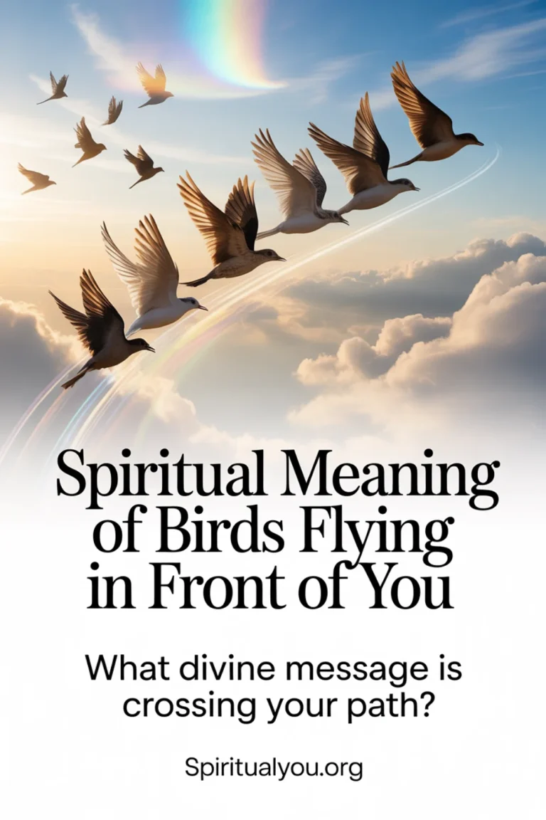Dynamic high-resolution photograph capturing multiple birds in synchronized flight crossing directly in front of viewer's path with wings fully spread against an expansive sky with soft clouds and warm golden hour sunlight. The birds create a powerful moment with gentle motion blur and subtle spiritual energy trails following their flight path. Background features beautiful sky tones with rainbow light refractions. White text overlay reads "Spiritual Meaning of Birds Flying in Front of You" with the direct question "What divine message is crossing your path?" clearly visible, and spiritualyou.org branding displayed in the corner.