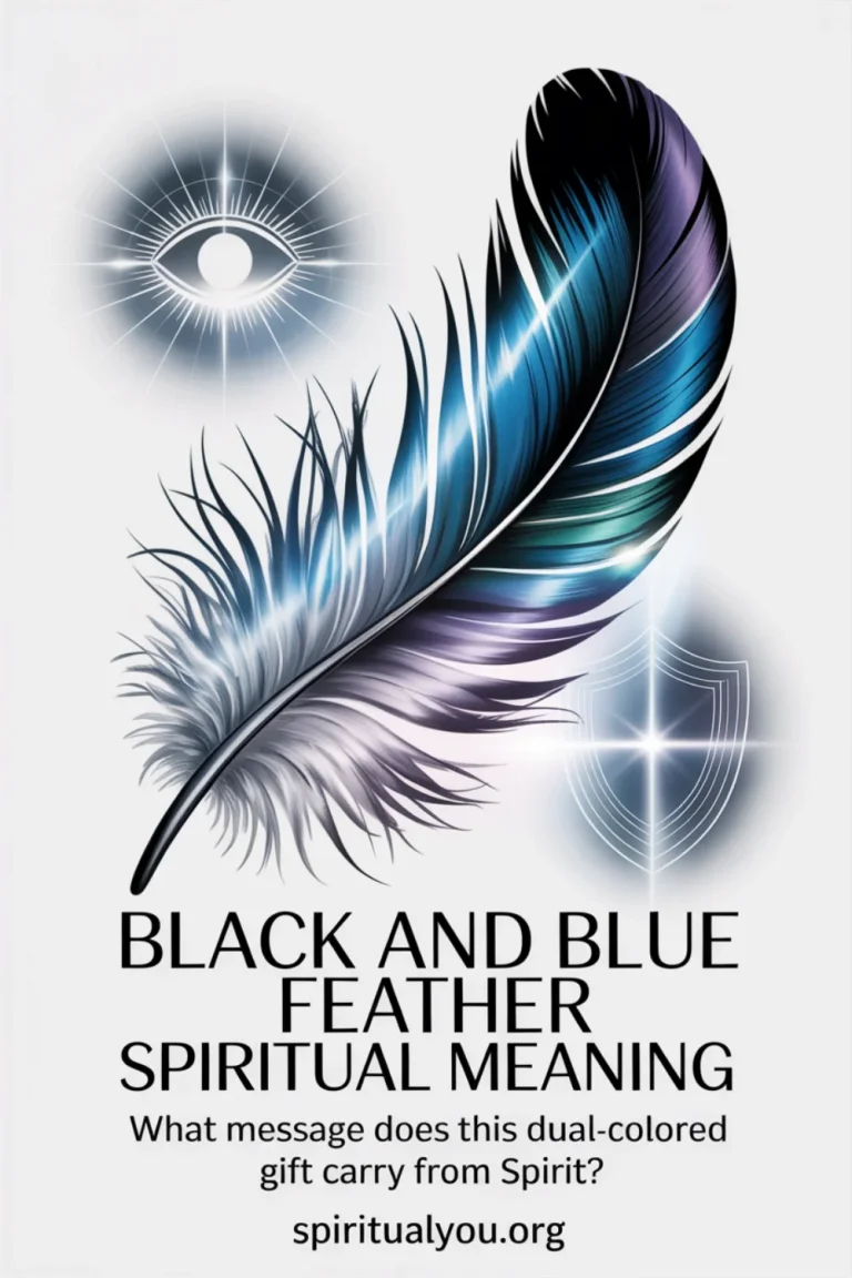 Black and blue feather spiritual meaning illustrated through detailed nature photograph showing stunning feather with distinct black and blue coloring catching light, surrounded by third eye and protective shield symbols, rendered in midnight blue and jet black tones with the text "Black And Blue Feather Spiritual Meaning" and question about dual-colored spirit message displayed in modern serif and script typography with spiritualyou.org branding.