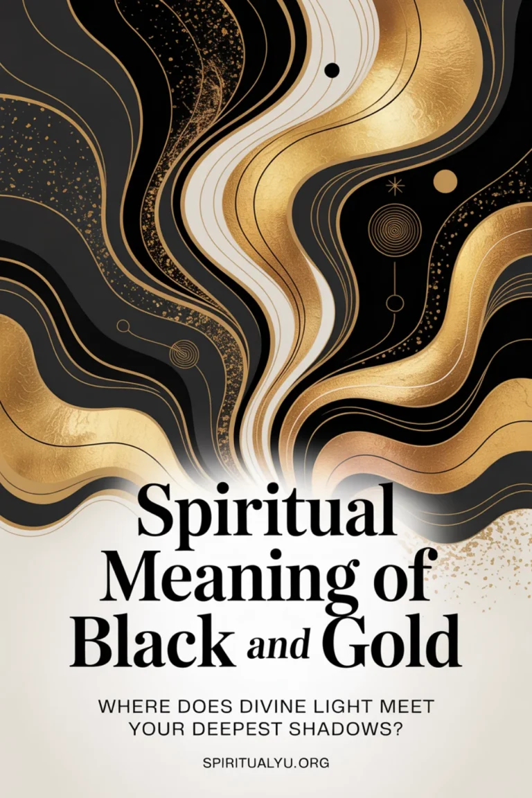 Sophisticated abstract illustration showing elegant interplay of deep black and rich metallic gold in flowing patterns, geometric shapes, and sacred symbols. Golden light emerges dramatically from darkness with design elements including sacred geometry, energy spirals, and cosmic patterns. The background transitions from pure black to shimmering gold with textured details. White text overlay reads "Spiritual Meaning of Black and Gold" with the alchemical question "Where does divine light meet your deepest shadows?" clearly visible, and spiritualyou.org branding displayed in the corner.