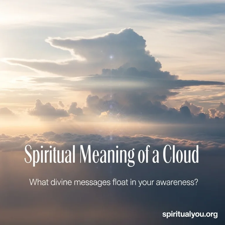 Breathtaking ethereal photograph of majestic white and gray clouds layered across a vast expansive sky with soft golden and pink rays of divine light breaking through the formations creating a heavenly atmosphere. The clouds show different textures and heights with subtle spiritual energy patterns and warm sunrise or sunset tints. White text overlay reads "Spiritual Meaning of Cloud" with the contemplative question "What divine messages float in your awareness?" clearly displayed, and spiritualyou.org branding visible in the corner.